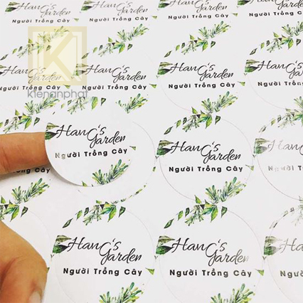 cac loai decal dung de in tem nhan
